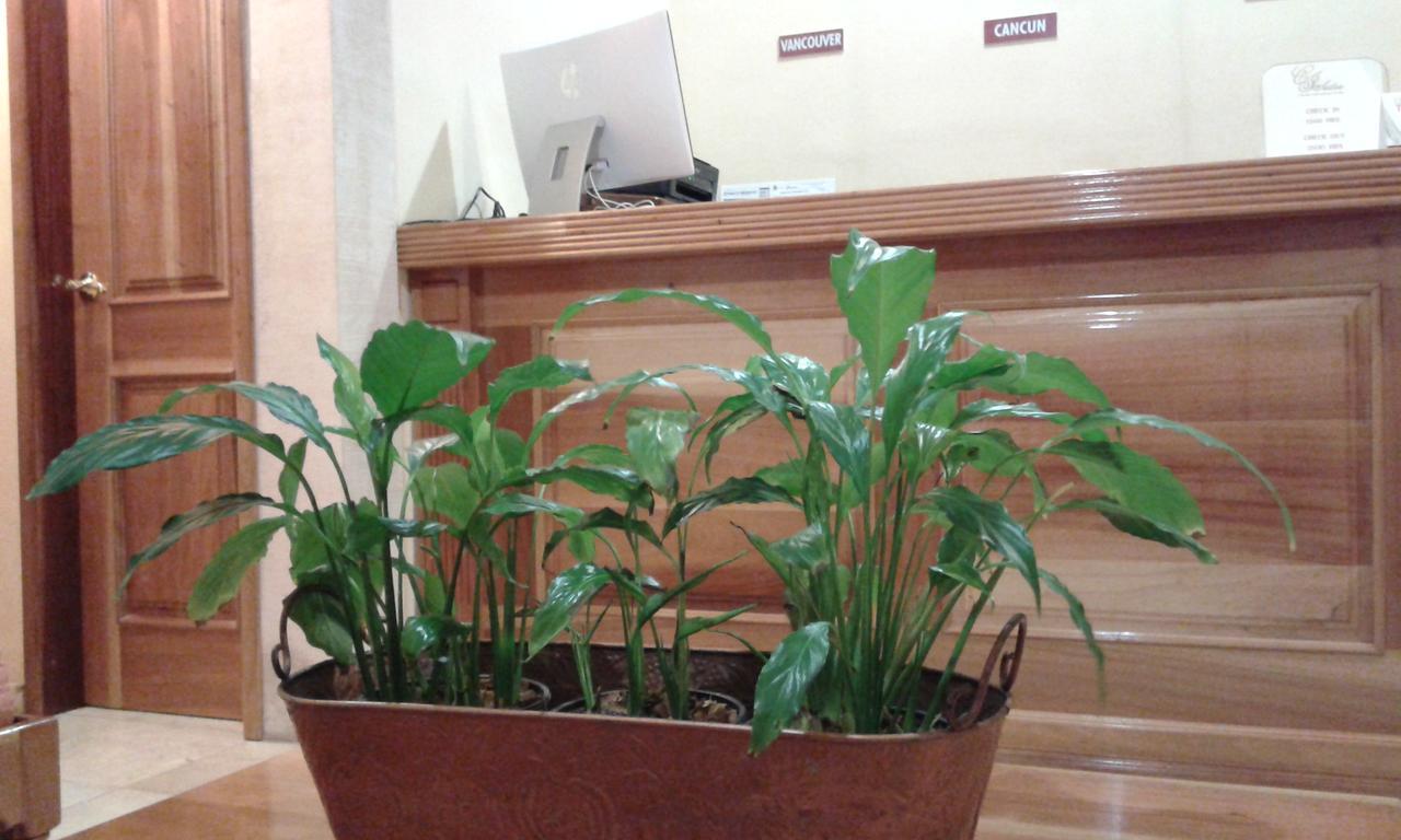 Cancun International Suites Bagian luar foto